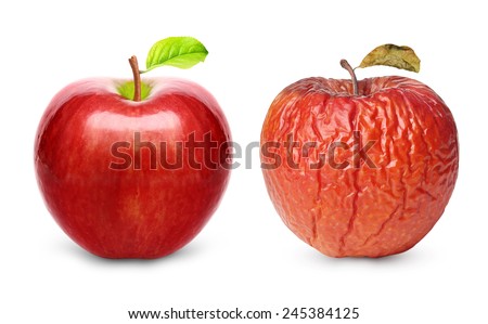 Wrinkled and fresh apple isolated on white background. Aging concept.
