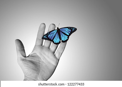Wrinkled hand of a man working With a blue butterfly