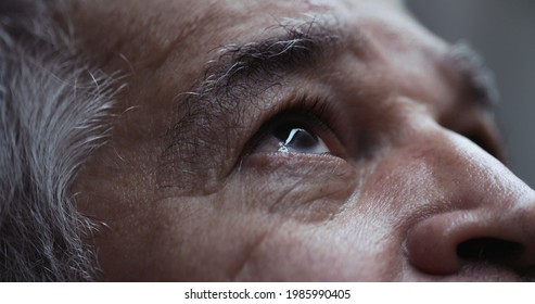Wrinkled Older Man Looking Up. Senior Person Eyes Staring To Sky