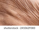 Wrinkled skin texture on men