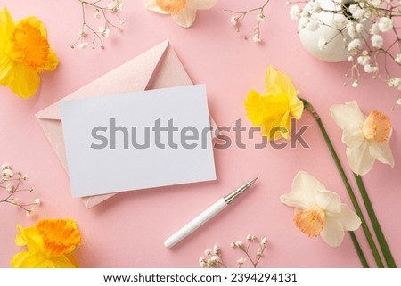 Write a tender spring letter filled with love. High-angle view presents tender narcissus and gypsophila branches, envelope with an empty postcard on pink background, perfect for text or advertising