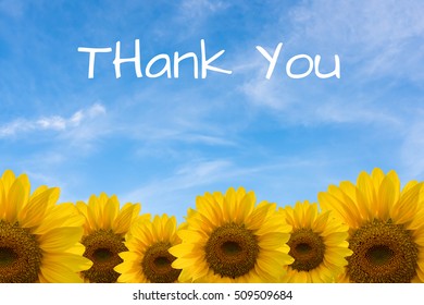 Thank You Sun Images, Stock Photos & Vectors | Shutterstock