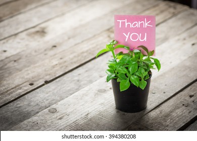 writing thank you on card and ornamental plants in pots on wooden floor. 