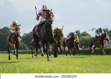 WROCLAW, POLAND - AUGUST 10; 2014: Finish The Race For - Three Year Old Horse For The Prize Lira (Oaks) In A Racecourse WTWK Partynice.