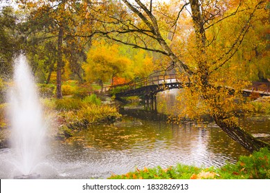 Wroclaw, Poland - Botanical Garden In Wrocław In The Autumn/fall