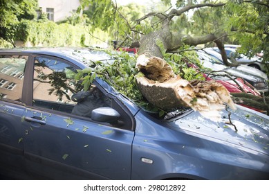 Wroclaw, Poland - July 20: Car Trapped Under Fallen Tree After Wind Storm On July 20, 2015 In Wrolaw, Poland