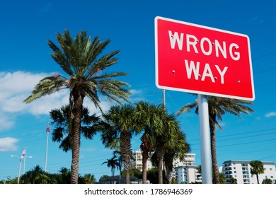 Wrong Way street sign alert, road warning on red color, with palm trees and buildings background, on blue clear sky sunny tropical day