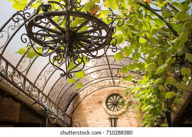 Wrought Iron Chandelier With Grapevine