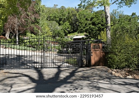Wrought Iron Fence with a Giant Tree Shadow