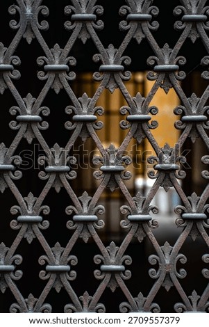 Wrought iron gate with decorative pattern. Vintage metalwork with classic ornamental design. Historic architecture element. Close up of antique gate. Iron grid with floral decorations.