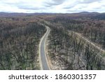 Wtree,Victoria/Australia - March 9th 2020 - After Australian Bush fire in Gippsland Region in Victoria