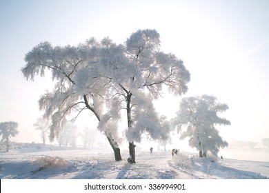 Wu Song Island,Jilin Province