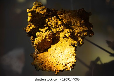 Wulfenite Mineral - Lead Ore