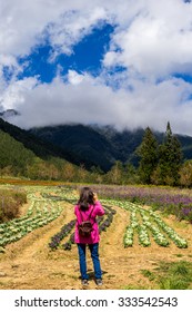 Wu-ling farm