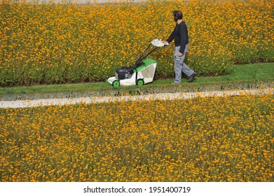 Wurzburg, Bavaria, Germany - September 30, 2014: Commercial Lawn Mower In Use - Court Gardens In Würzburg, Germany