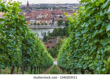 Wurzburg, Germany - June 28th 2016 - located on the Main river, Wurzburg is a popular tourist destination. Here in particular the Old Town, a Unesco World Heritage