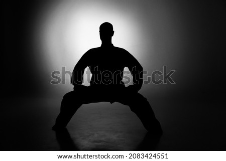 Wushu master silhouette in studio session