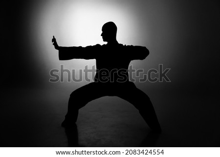 Wushu master silhouette in studio session