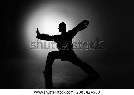 Wushu master silhouette in studio session