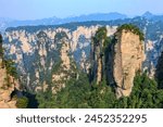 Wuzhi Peak or Five fingers peak, Huangshizhai of Zhangjiajie National Forest Park in Wulingyuan : Zhangjiajie, Hunan, China
