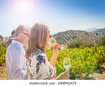 WWne Tasters In Vineyards In Andalucia