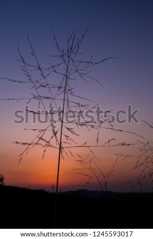 Similar – Image, Stock Photo in the evening…