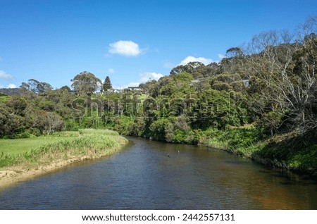 Wye River Landscape: Serene Waterway with Lush Australian natural Vegetation and some holiday houses in the distance. Wye River is a small regional and coastal town on Great Ocean Road.