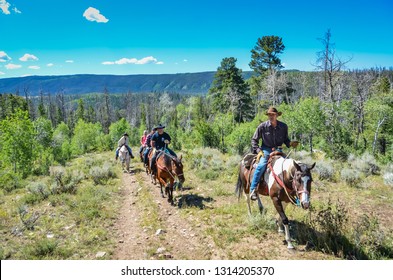 Wyoming / USA - 09-02-2014: Guided Horseback Riding Tour On Mountain Trail In Medicine Bow National Forest.