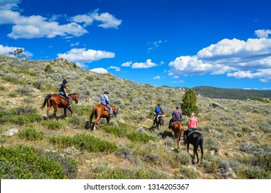 Wyoming / USA - 09-02-2014: Horseback Riding Tour On Sage Covered Hill Trail In Medicine Bow National Forest.