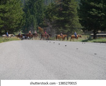 Wyoming, USA--July 2018: Horseback Riders Cross The Road At Yellowstone National Park. Horseback Riding Is One Of The Popular Activities At Yellowstone National Park. 