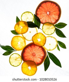 x ray citrus fruits - Shutterstock ID 1028010526