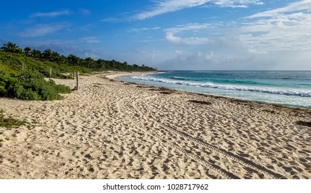 Xcacel Beach in Yucatan, Mexico