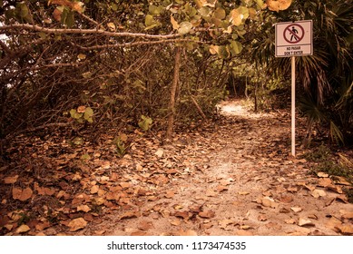 Xcacel, Mexico April 27, 2017. prohibited path with many dry leafs on the ground

