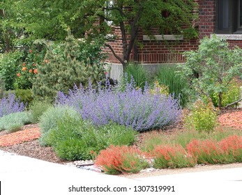 1,436 Xeriscape gardens Images, Stock Photos & Vectors | Shutterstock