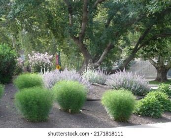 Xeriscape Garden In Salt Lake City, Utah, Drought Tolerant And Beautiful