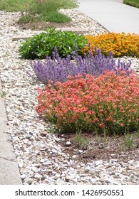 Xeriscape Planting, Flowers In A Parking Strip, Water Wise Plants, Landscape             