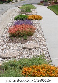 Xeriscape Planting, Flowers In A Parking Strip, Water Wise Plants, Landscape             