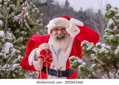 Xmas Santa Claus with real beard in the northern forest in winter among snow-covered firs and pines outside the city in the wild. Festive image for advertising design of banners, cards or calendars - Powered by Shutterstock