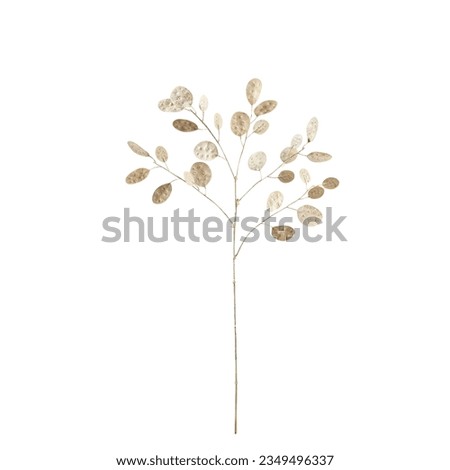 Xmas tree,green leaves,flower tree ,white background