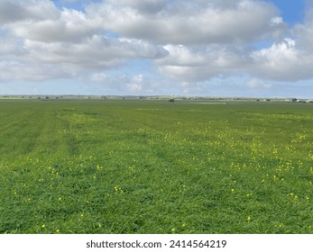 xp desktop background farms fields