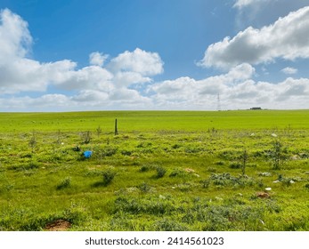 Xp desktop green viewing farms libya