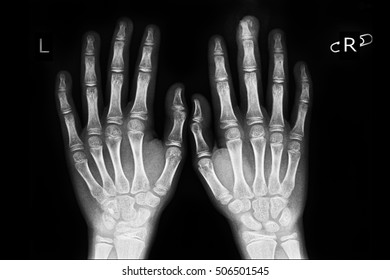 185 Skeleton Shows Middle Finger Images, Stock Photos & Vectors ...