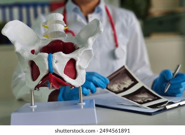 X-ray of the hip joint and ultrasound of organs. Pelvic Bone. Ultrasound examination of the hip joint in adults - Powered by Shutterstock