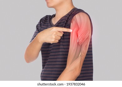 X-ray Shoulder Muscle Pain , Upper Arm Muscles Injury