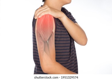 X-ray Shoulder Muscle Pain , Upper Arm Muscles Injury