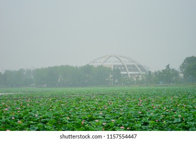 Xuanwu Lake In Nanjing