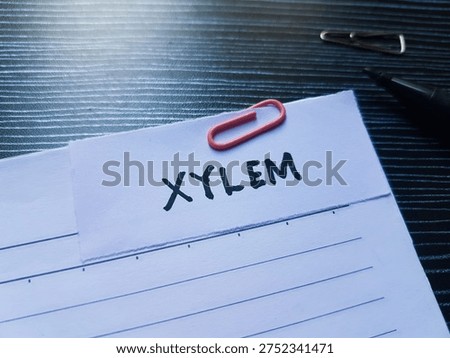 Xylem writting on table background. 