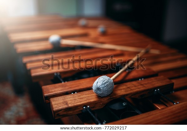 Xylophone closeup,\
wooden percussion\
instrument