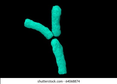 Y Chromosome Isolated On Black