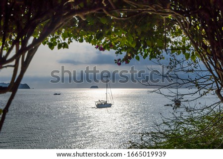 Yachts are anchored in the bay by looking out from shrubbery as a frame in Batangas, Philippine.